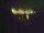 Webcam in Linley Point, 286.5 mi away