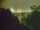 Webcam in Linley Point, 291.1 mi away