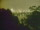 Webcam in Linley Point, 674.8 km entfernt