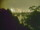 Webcam in Linley Point, 260.4 mi away