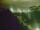 Webcam in Linley Point, 672 km entfernt