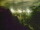 Webcam in Linley Point, 286.6 km