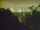 Webcam in Linley Point, 295.1 km entfernt