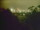 Webcam in Linley Point, 5.6 km