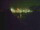 Webcam in Linley Point, 448.6 mi away