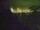 Webcam in Linley Point, 295.1 km entfernt