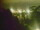 Webcam in Linley Point, 1166.8 km