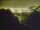 Webcam in Linley Point, 723.2 km entfernt