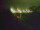 Webcam in Linley Point, 737 km entfernt