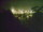 Webcam in Linley Point, 286.4 mi away