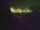 Webcam in Linley Point, 286.5 mi away