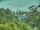 Webcam in Linley Point, 286.5 mi away