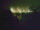 Webcam in Linley Point, 293.2 mi away