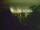 Webcam in Linley Point, 258.6 mi away