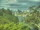 Webcam in Linley Point, 737 km entfernt