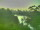 Webcam in Linley Point, 286.5 mi away