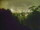 Webcam in Linley Point, 756.4 km entfernt