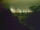 Webcam in Linley Point, 679 km entfernt