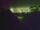 Webcam in Linley Point, 684.4 km
