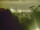 Webcam in Linley Point, 721.5 km