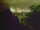 Webcam in Linley Point, 686.8 km