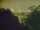 Webcam in Linley Point, 6.2 km