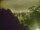 Webcam in Linley Point, 286.4 mi away