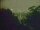 Webcam in Linley Point, 267.1 mi away
