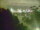 Webcam in Linley Point, 312.8 km entfernt