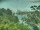 Webcam in Linley Point, 735 km