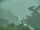Webcam in Linley Point, 13.6 km