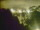 Webcam in Linley Point, 284.3 mi away