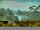 Webcam in Linley Point, 274.7 mi away