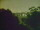 Webcam in Linley Point, 5.6 km