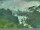 Webcam in Linley Point, 113.3 km