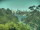 Webcam in Linley Point, 2.5 mi away