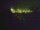 Webcam in Linley Point, 487.7 km entfernt