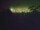 Webcam in Linley Point, 735.2 km