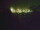 Webcam in Linley Point, 262.1 mi away