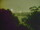 Webcam in Linley Point, 259.3 mi away