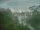 Webcam in Linley Point, 267.1 mi away