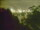 Webcam in Linley Point, 753.2 km