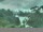 Webcam in Linley Point, 674.2 km entfernt