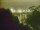Webcam in Linley Point, 763.9 km entfernt