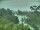 Webcam in Linley Point, 5.5 mi away