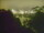 Webcam in Linley Point, 700.6 km