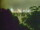 Webcam in Linley Point, 759.8 km entfernt
