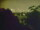 Webcam in Linley Point, 679 km