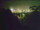 Webcam in Linley Point, 711.4 km