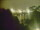 Webcam in Linley Point, 448.6 mi away